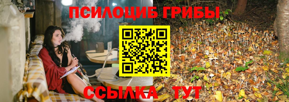 Домодедово  Псилоцибиновые грибы Psilocybe  Галлюциногенные грибы ЛСД  Вход с VPN 