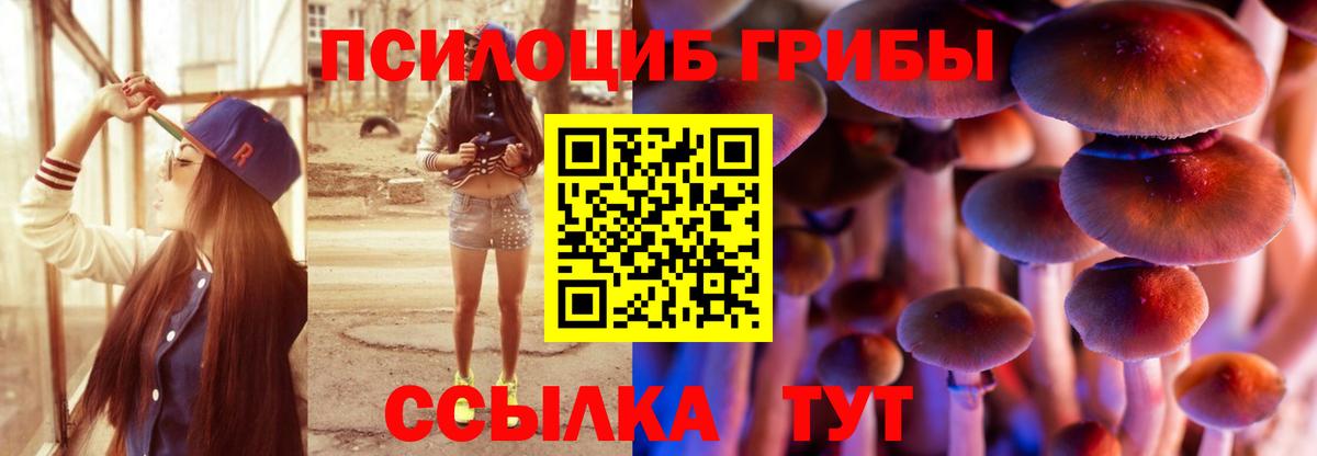 Галлюциногенные грибы Psilocybine cubensis Домодедово